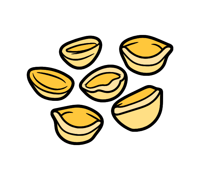 orecchiette