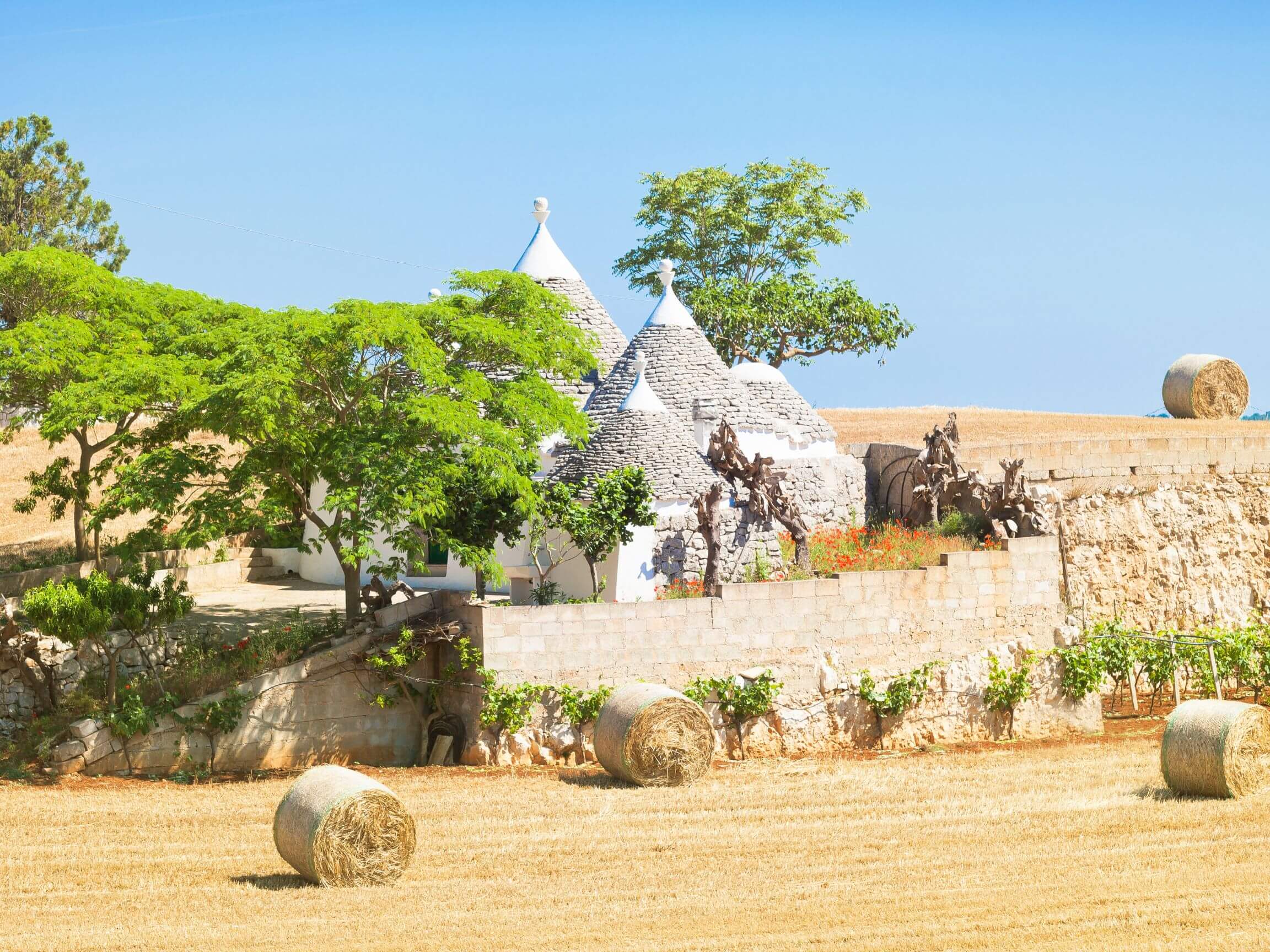 PUGLIA IN 5 GIORNI